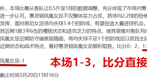 世界杯比分 资讯 102804 5lf