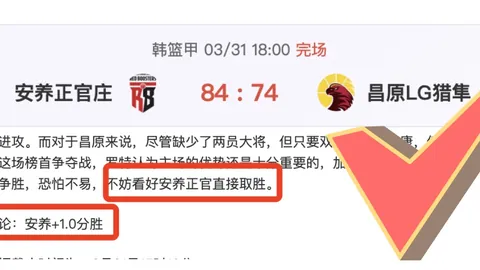 世界杯比分 资讯 001014 vnh